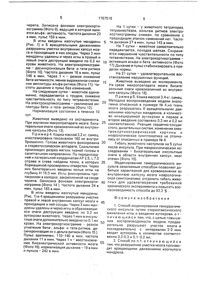 Способ моделирования геморрагического инсульта (патент 1767518)