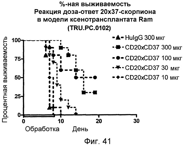 Одноцепочечные мультивалентные связывающие белки с эффекторной функцией (патент 2487888)