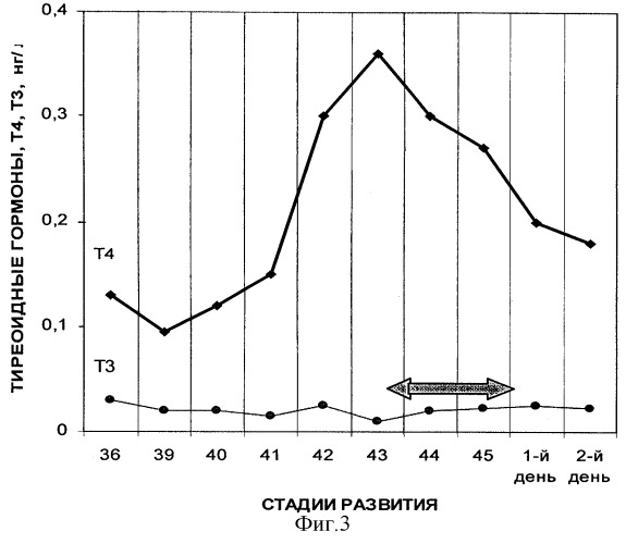 Способ подращивания личинок осетровых рыб (патент 2260943)