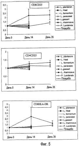 Применение lactobacillus для лечения вирусных инфекций (патент 2440123)