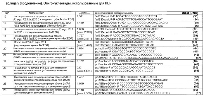 Применение бактерий, относящихся к группе нокардиоформных актиномицетов, для получения фармацевтической композиции и способ использования такой фармацевтической композиции (патент 2543663)