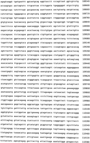 Бактериофаг, обладающий активностью против pseudomonas aeruginosa, белки бактериофага и способы их применения (патент 2580248)