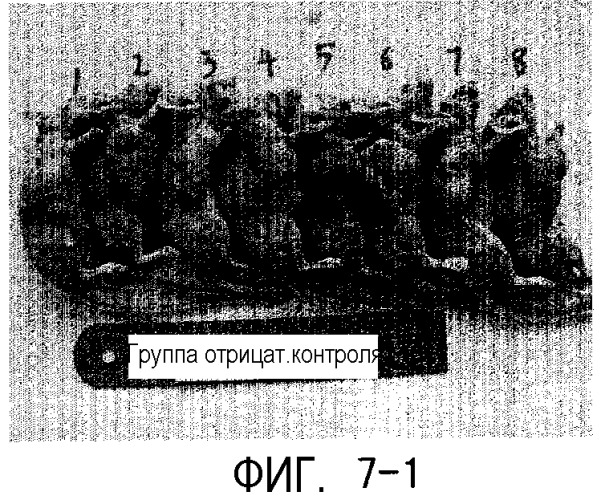 Рекомбинантный белок, обладающий противораковым действием, кодирующий его ген и его применение (патент 2333221)