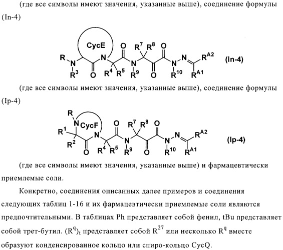 Производные дикетогидразина, фармацевтическая композиция, содержащая такие производные в качестве активного ингредиента, и их применение (патент 2368600)