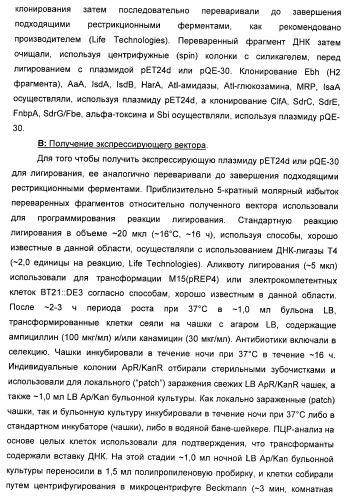 Иммуногенная композиция для применения в вакцинации против стафилококков (патент 2419628)