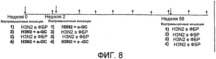 Композиции и способы иммунизации с применением лигандов cd1d (патент 2522219)