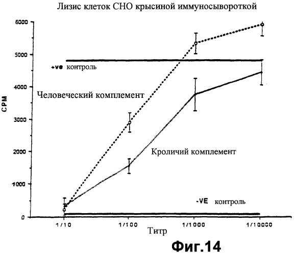 Способ получения трансгенного животного (патент 2252533)