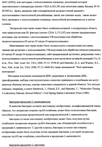 Способ получения l-треонина с использованием бактерии, принадлежащей к роду escherichia, в которой инактивирован оперон rspab (патент 2337961)