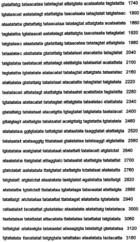 Днк, повышающая продуцирование белка, и ее применение (патент 2375450)