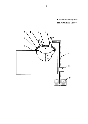 Самоочищающийся мембранный насос (патент 2579535)