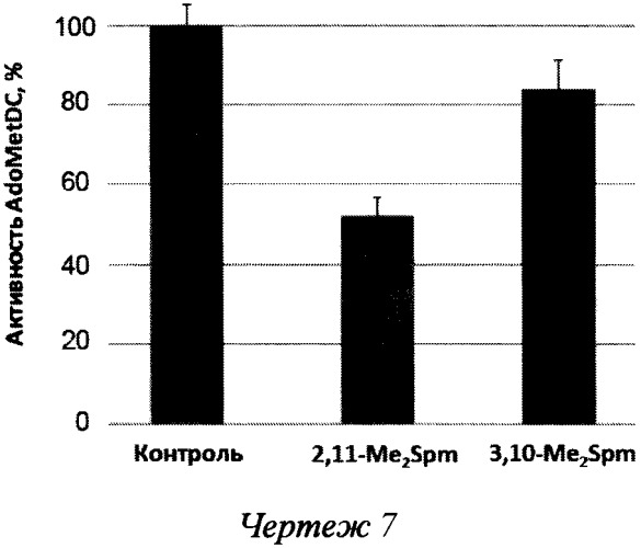 (r,r)- и (s,s)-диастереомеры 2,11-диметилспермина и 3,10-диметилспермина (патент 2558953)