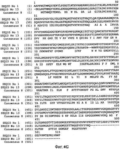 Варианты альфа-амилазы с измененными свойствами (патент 2499044)