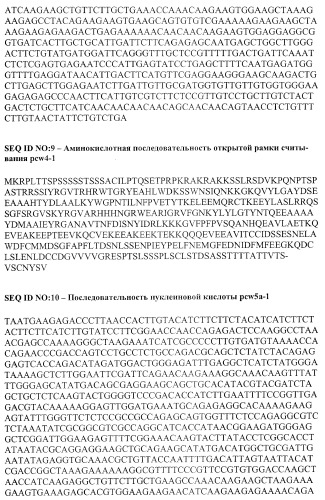 Молекулы нуклеиновых кислот, кодирующие wrinkled1-подобные полипептиды, и способы их применения в растениях (патент 2385347)