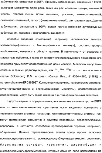 Человеческие моноклональные антитела к рецептору эпидермального фактора роста (egfr), способ их получения и их использование, гибридома, трансфектома, трансгенное животное, экспрессионный вектор (патент 2335507)