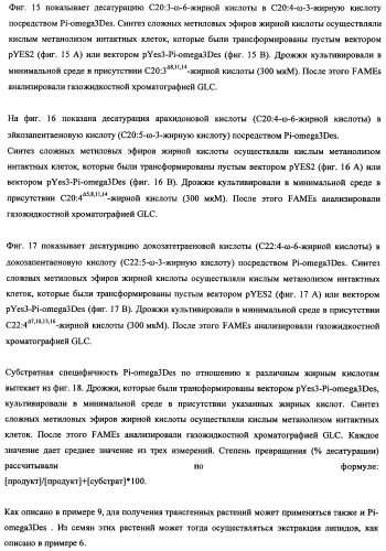 Способ получения полиненасыщенных кислот жирного ряда в трансгенных организмах (патент 2447147)