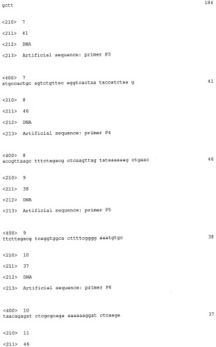 Способ получения l-треонина и l-аргинина с использованием бактерии, принадлежащей к роду escherichia, в которой инактивирован ген ybiv (патент 2320719)