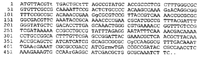 Антигены neisseria meningitidis (патент 2343159)