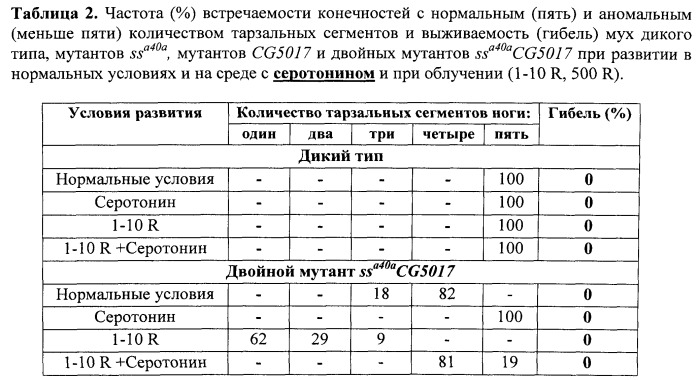 Способ оценки фармакологических и токсикологических свойств веществ - радио-, токсикопротекторов и радио-, токсикосенсибилизаторов (патент 2534822)