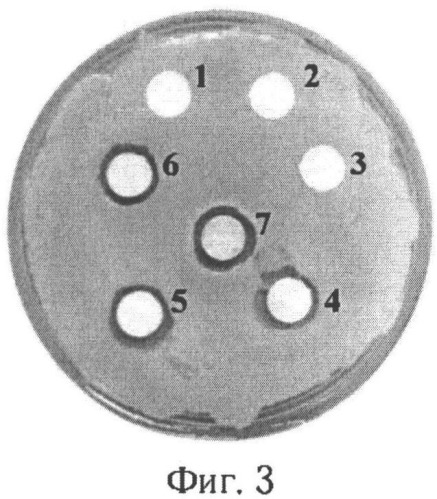 Сетчатое биоактивное раневое покрытие (патент 2545729)