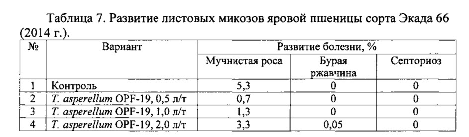 Штамм гриба trichoderma asperellum для получения биопрепарата комплексного действия для растениеводства (патент 2634415)