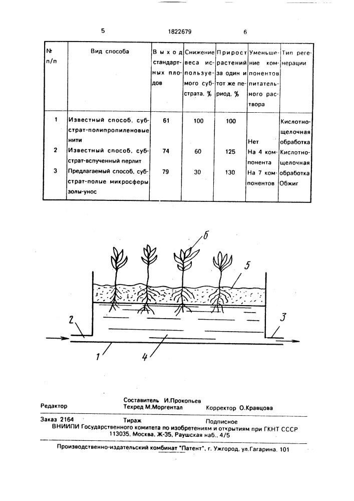 Способ выращивания растений на гидропонике (патент 1822679)