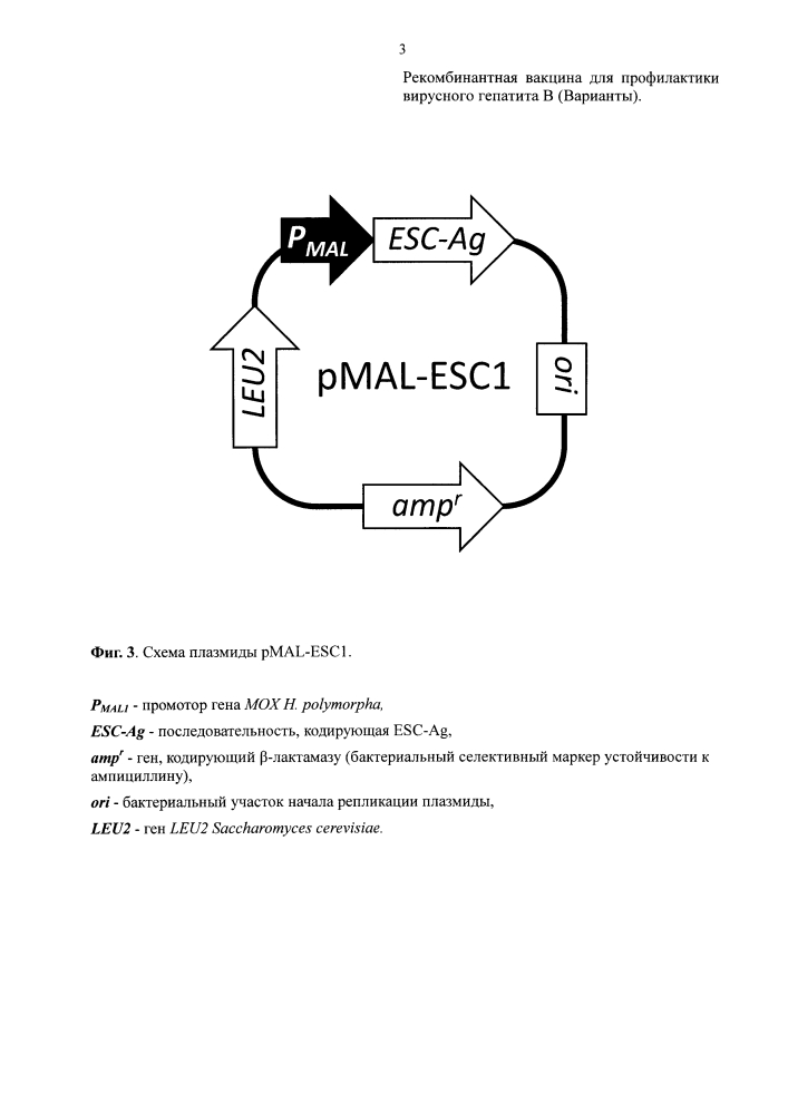Рекомбинантная вакцина для профилактики вирусного гепатита в (варианты) (патент 2603729)