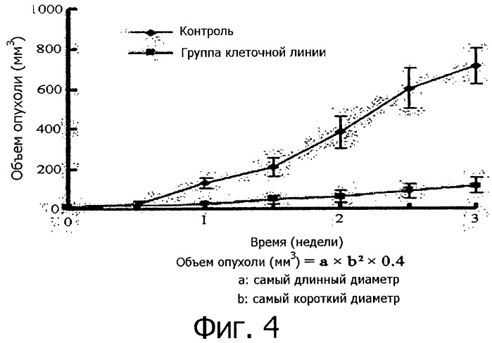 Противораковая композиция, включающая линию клеток, полученную из камбия и прокамбия стебля тисса (taxus) (патент 2440820)