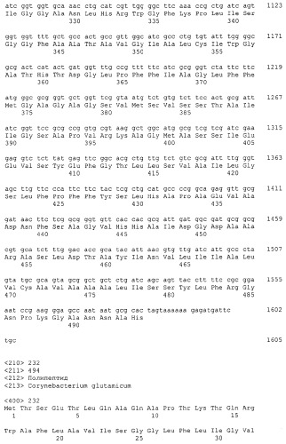 Гены corynebacterium glutamicum, кодирующие белки резистентности и толерантности к стрессам (патент 2303635)