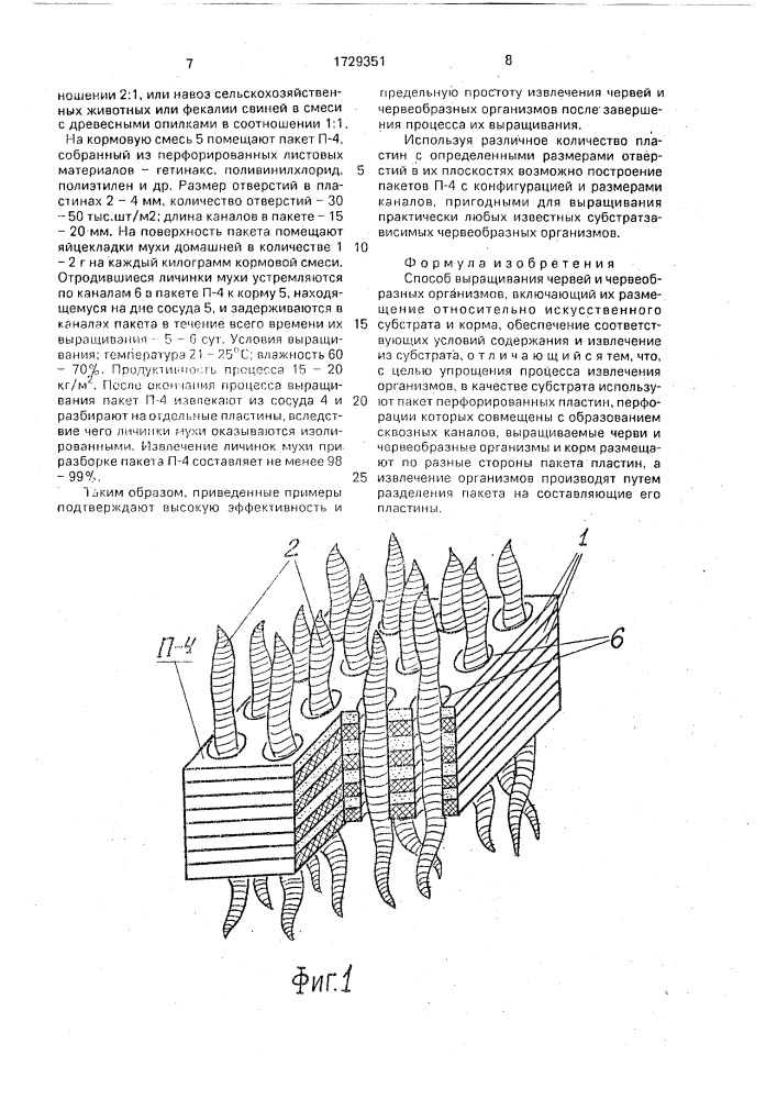 Способ выращивания червей и червеобразных организмов (патент 1729351)