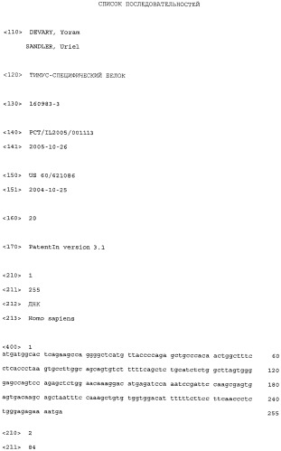 Тимус-специфический белок (патент 2535971)