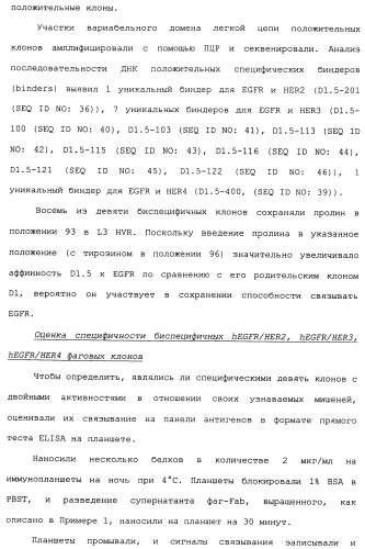 Антитела к her (патент 2504553)