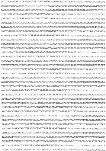 Применение s1p (патент 2362565)