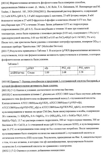 Использование фосфокетолазы для продукции полезных метаболитов (патент 2322496)