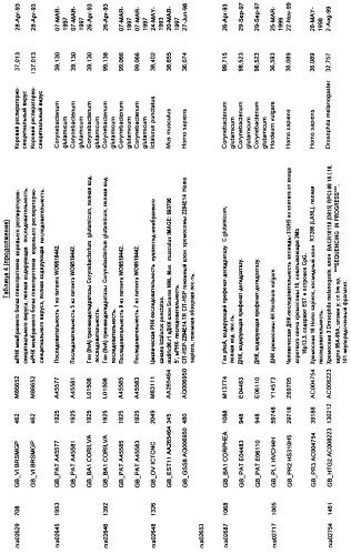 Гены corynebacterium glutamicum, кодирующие белки метаболических путей (патент 2306339)
