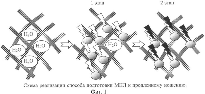 Способ подготовки мягких контактных линз к продленному ношению (патент 2379059)