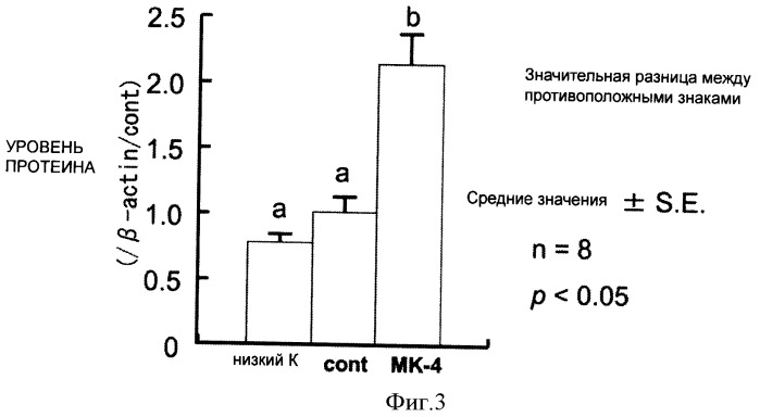 Усилитель выработки тестостерона (патент 2431475)