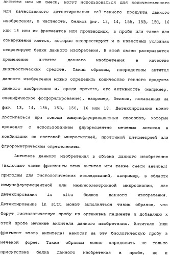 Ее3-семейство белков и соответствующие днк-последовательности (патент 2333918)