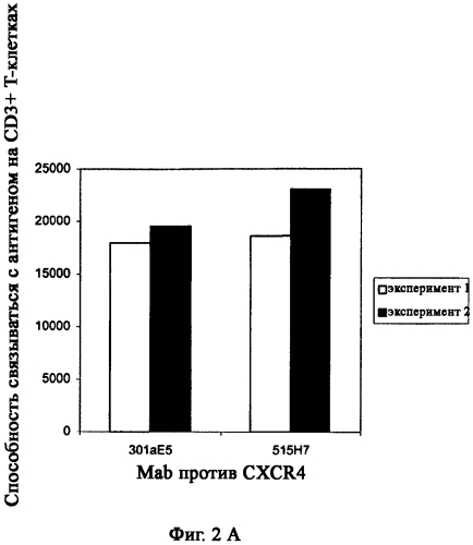 Антитела против cxcr4 для лечения инфекции вич (патент 2573902)