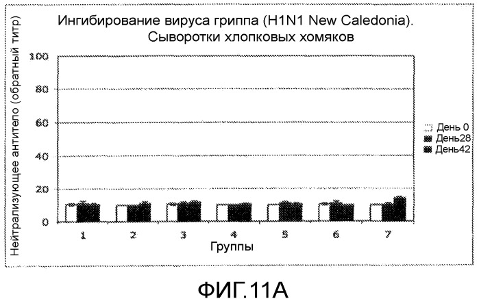 Иммуногенные композиции и способы (патент 2468034)