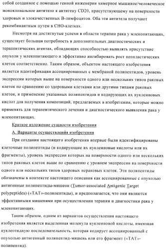 Композиции и способы диагностики и лечения опухоли (патент 2423382)