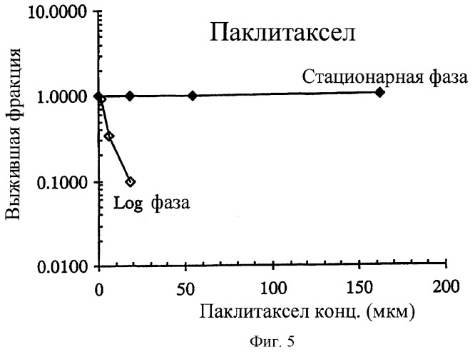 Синергические способы и композиции для лечения рака (патент 2264217)