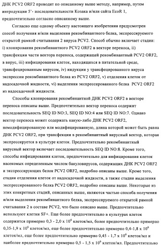 Поливалентные иммуногенные композиции pcv2 и способы получения таких композиций (патент 2488407)