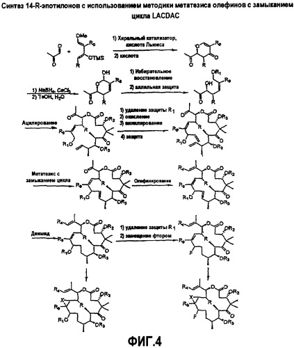 Синтез эпотилонов, их промежуточных продуктов, аналогов и их применения (патент 2462463)