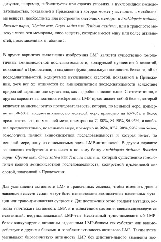 Молекулы нуклеиновых кислот, кодирующие wrinkled1-подобные полипептиды, и способы их применения в растениях (патент 2385347)