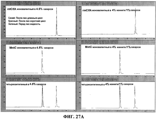 Стабильные иммуногенные композиции антигенов staphylococcus aureus (патент 2570730)