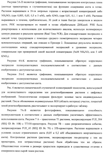 Изолированные полипептиды, кодирующие их полинуклеотиды, экспрессирующие их трансгенные растения и способы их использования (патент 2487166)