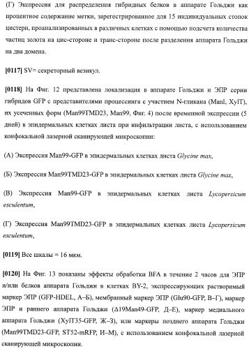Набор последовательностей для таргетинга экспрессии и контроля посттрансляционных модификаций рекомбинантного полипептида (патент 2481399)