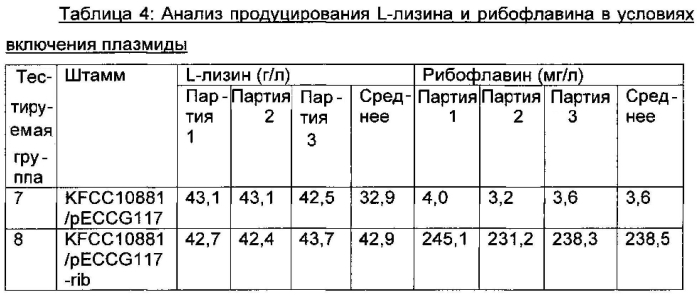 Микроорганизм для продуцирования одновременно l-аминокислоты и рибофлавина и способ производства l-аминокислоты и рибофлавина с его применением (патент 2588657)