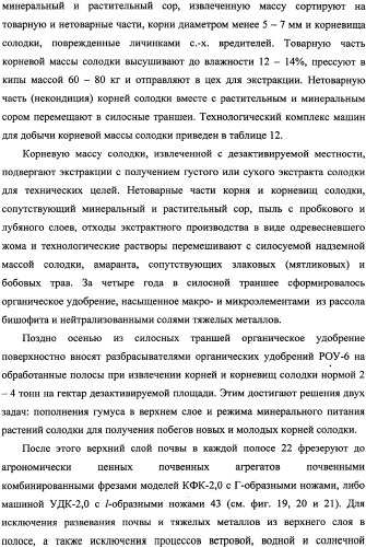 Фиторемедиационный способ очистки почв от тяжелых металлов (патент 2338353)