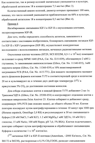 Антитела к рецептору инсулиноподобного фактора роста i и их применение (патент 2363706)